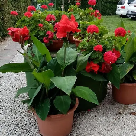Am By Interhome Balatonmariafurdo