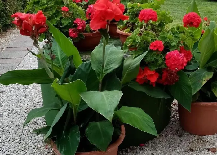 Am By Interhome Балатонмариафюрдё